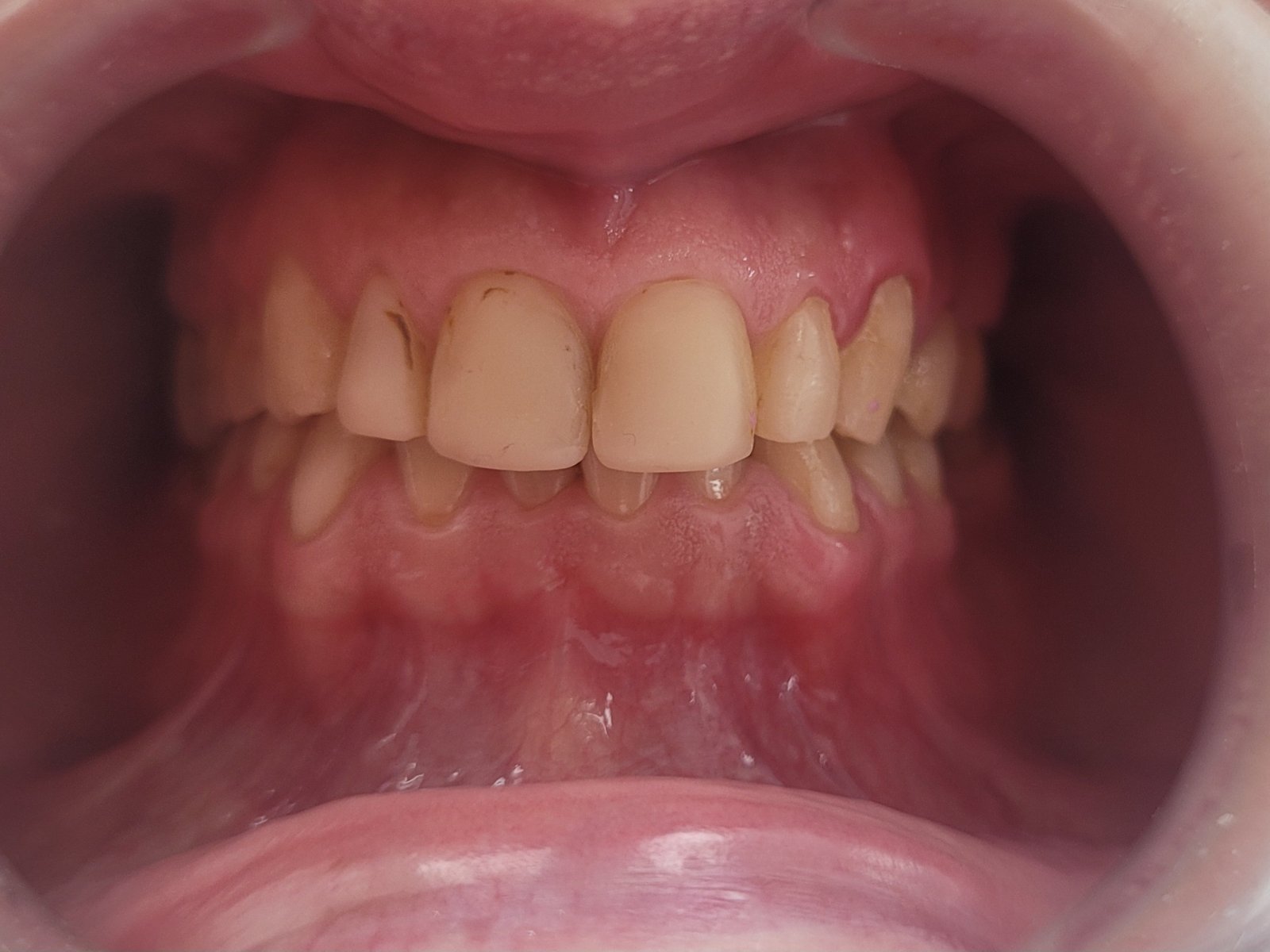 viber_image_2026-02-17_22-25-01-729